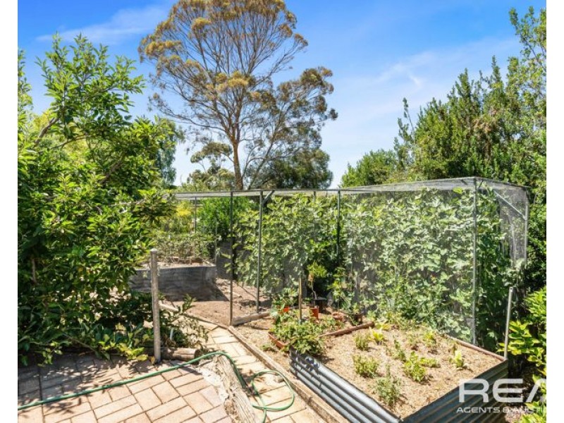 53 Flinders Drive, Valley View SA 5093