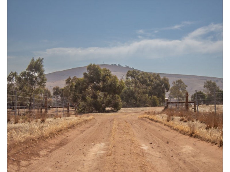 273 Sanderston Road, Sanderston SA 5237