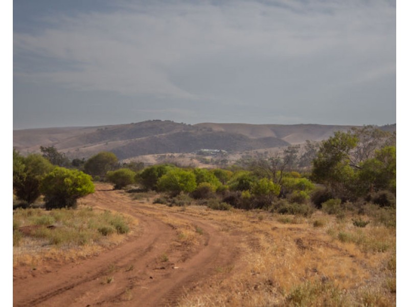 273 Sanderston Road, Sanderston SA 5237