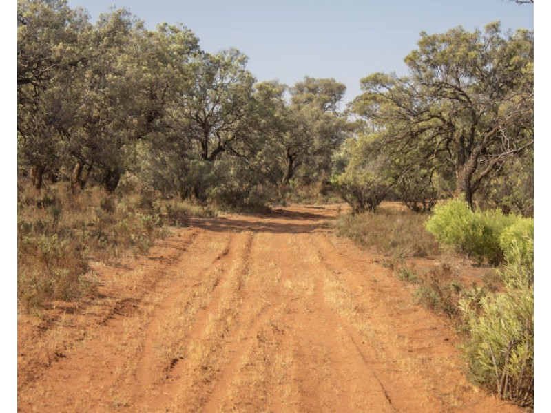 273 Sanderston Road, Sanderston SA 5237