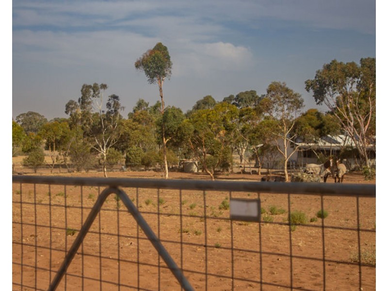 273 Sanderston Road, Sanderston SA 5237