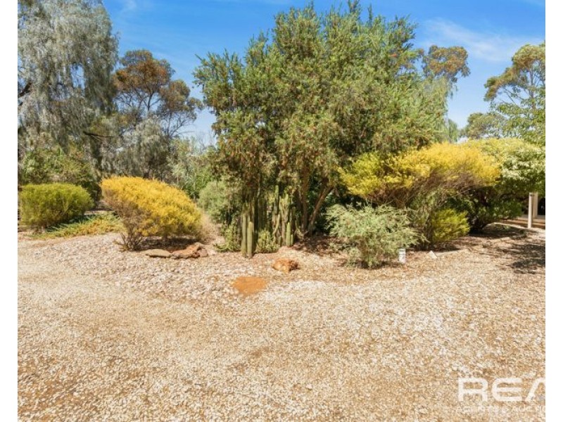 8 Linda Street, Shea-oak Log SA 5371