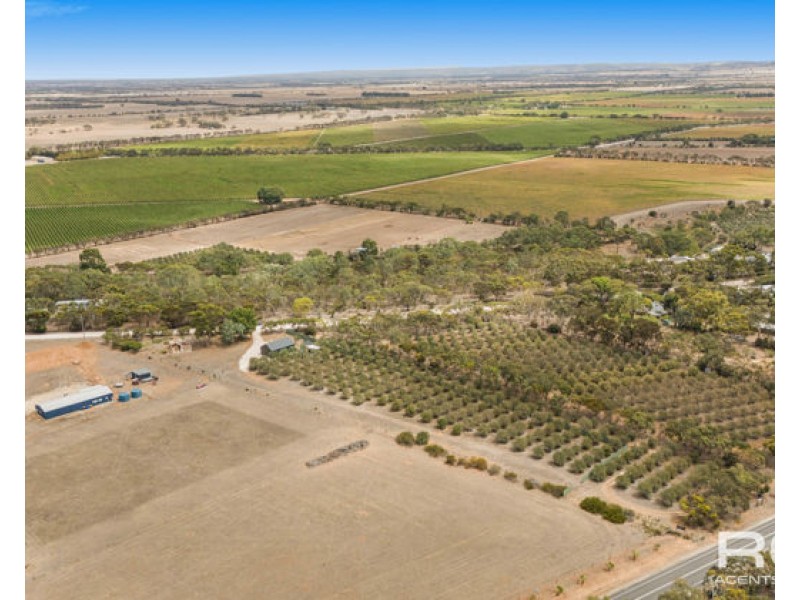57 Angas Plains Road, Belvidere SA 5255