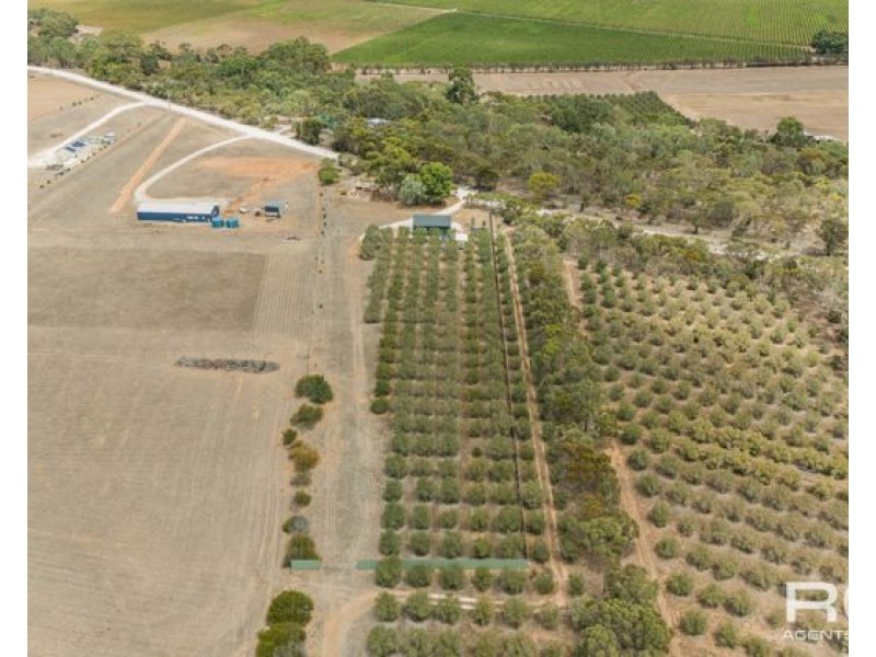 57 Angas Plains Road, Belvidere SA 5255