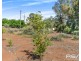 38 Nildottie Road, Swan Reach SA 5354