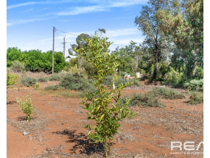 38 Nildottie Road, Swan Reach SA 5354