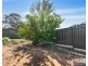 38 Nildottie Road, Swan Reach SA 5354