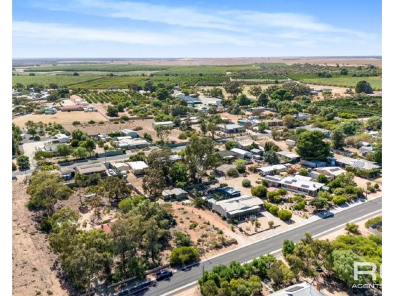 38 Nildottie Road, Swan Reach SA 5354