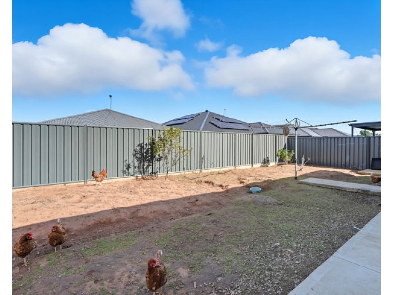 26 Greenhood Crescent, Andrews Farm SA 5114