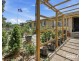 1 Linger Crescent, Elizabeth Downs SA 5113