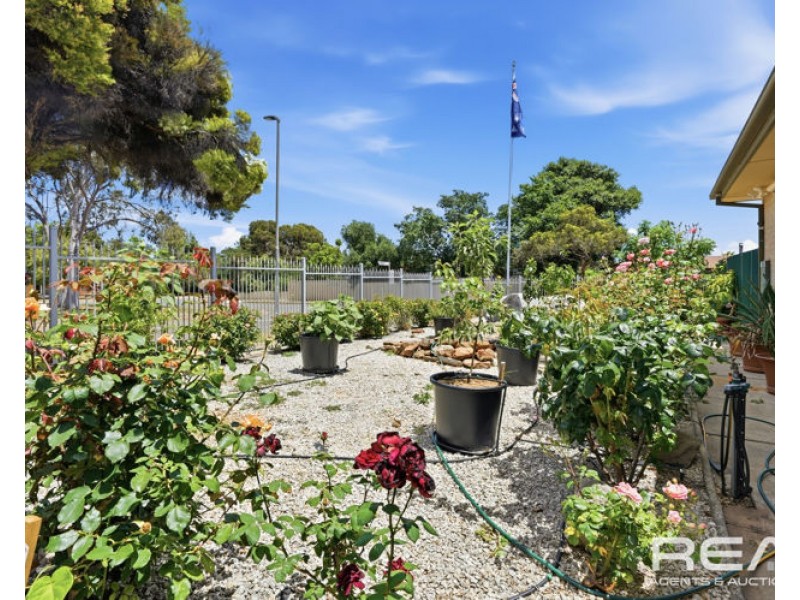 1 Linger Crescent, Elizabeth Downs SA 5113
