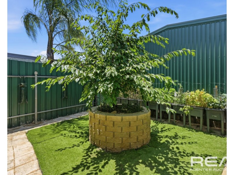 1 Linger Crescent, Elizabeth Downs SA 5113