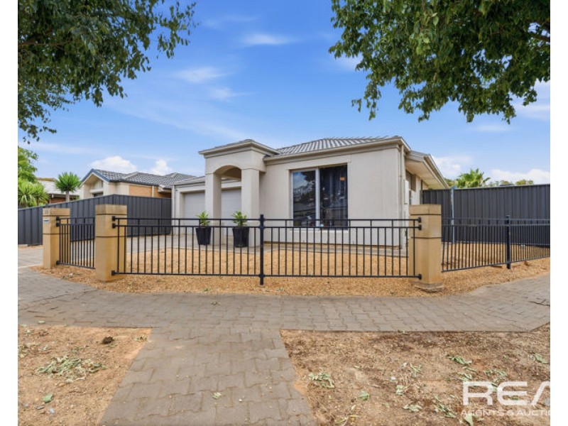 24 Semillon Crescent, Andrews Farm SA 5114