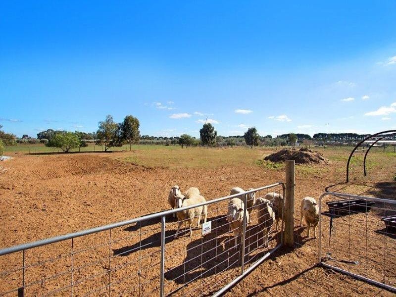 5 Garden Ave, Two Wells SA 5501