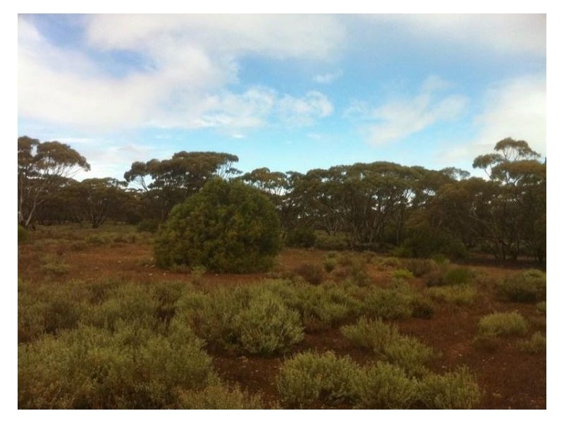 Lot 8 Sandleton Road, Sandleton SA 5356