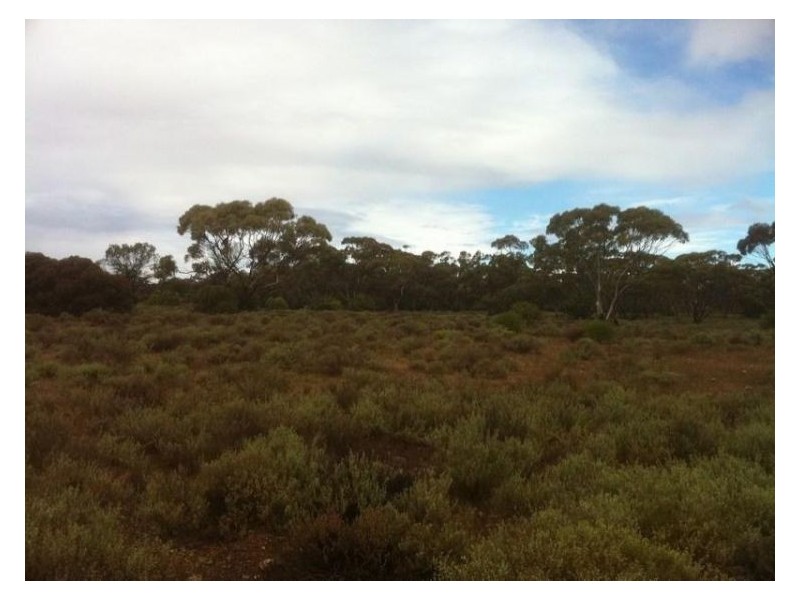 Lot 8 Sandleton Road, Sandleton SA 5356