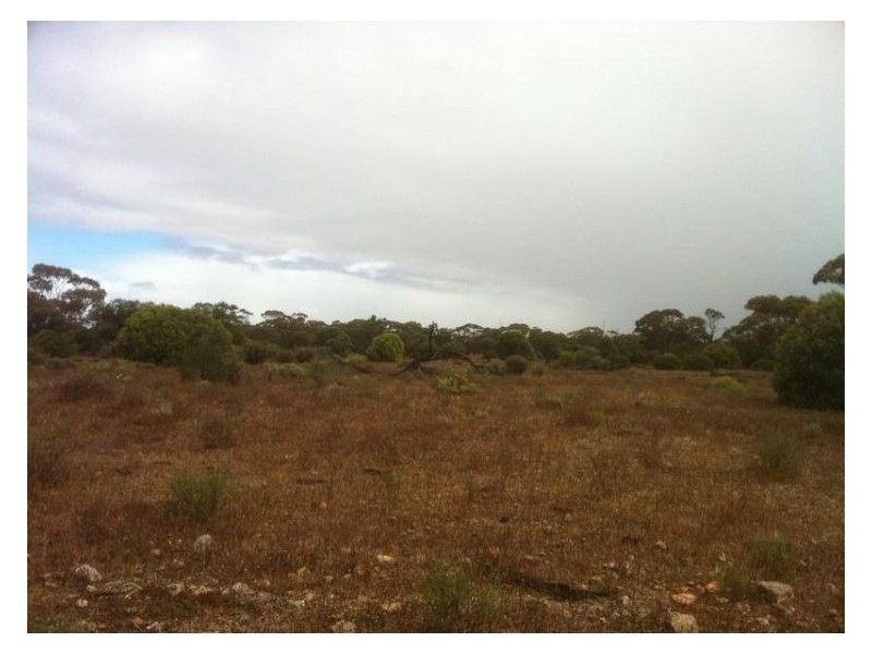 Lot 8 Sandleton Road, Sandleton SA 5356