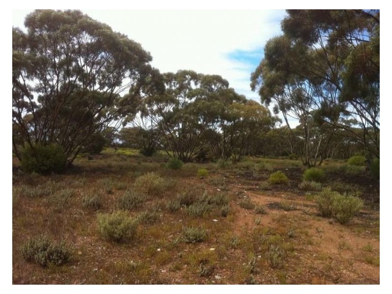 Lot 8 Sandleton Road, Sandleton SA 5356