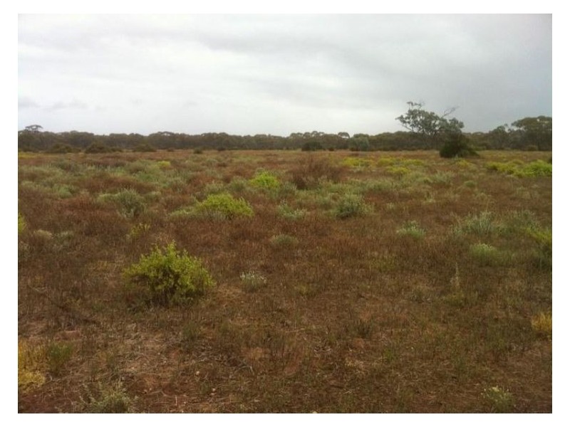 Lot 8 Sandleton Road, Sandleton SA 5356