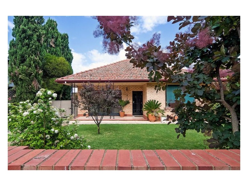 19 Thistle Avenue, Klemzig SA 5087