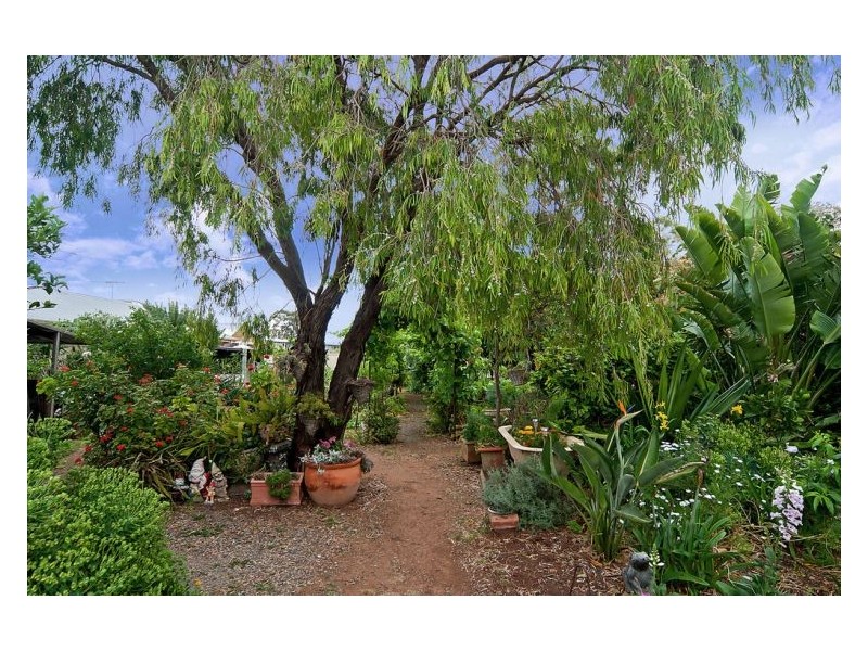 19 Thistle Avenue, Klemzig SA 5087