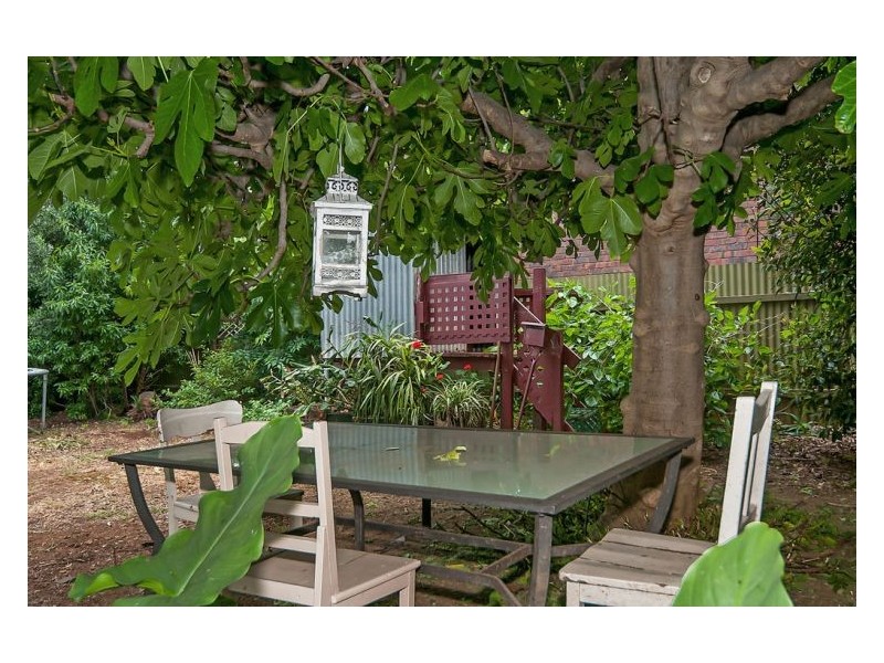 19 Thistle Avenue, Klemzig SA 5087