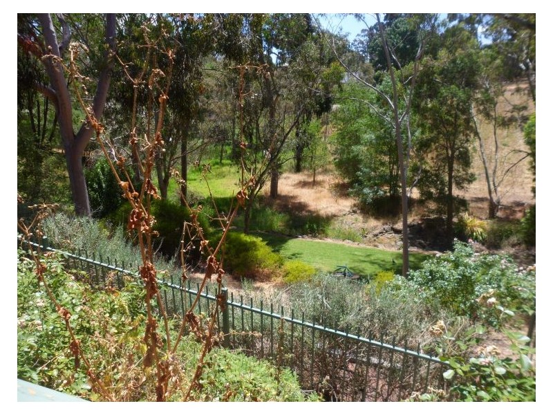 656 Milne Road, Banksia Park SA 5091