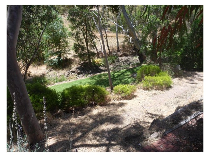 656 Milne Road, Banksia Park SA 5091