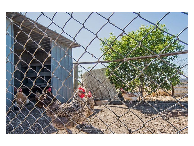 Lot 701 Clark Road, Virginia SA 5120