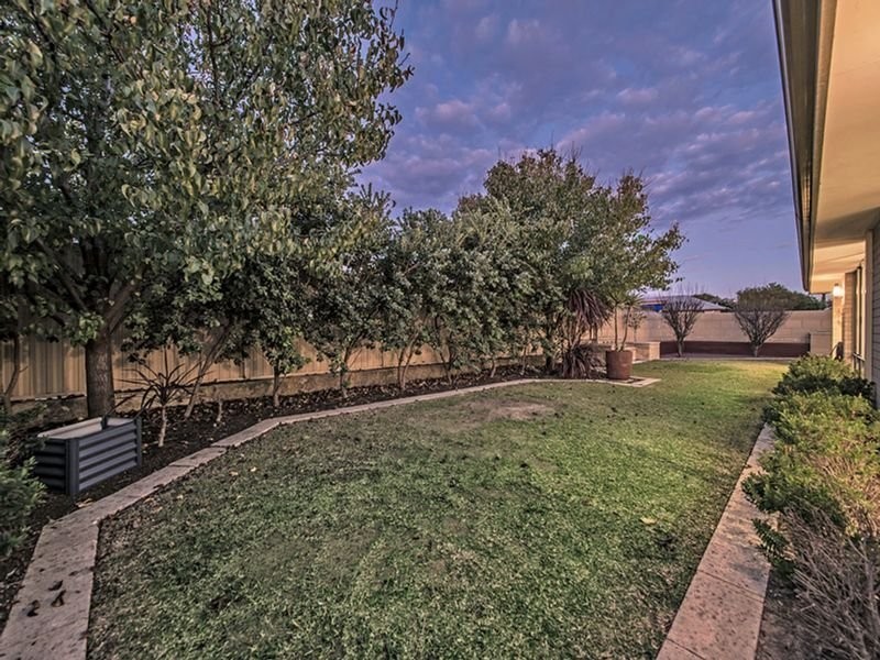 2 Impington Road, Butler WA 6036