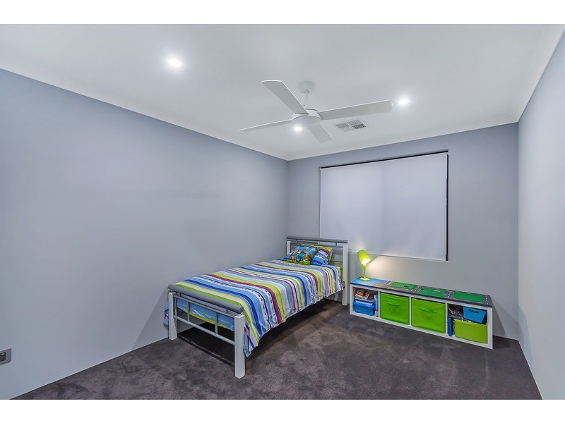 8 Needletail Avenue, Alkimos WA 6038