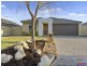 35 Broadford Avenue, Butler WA 6036