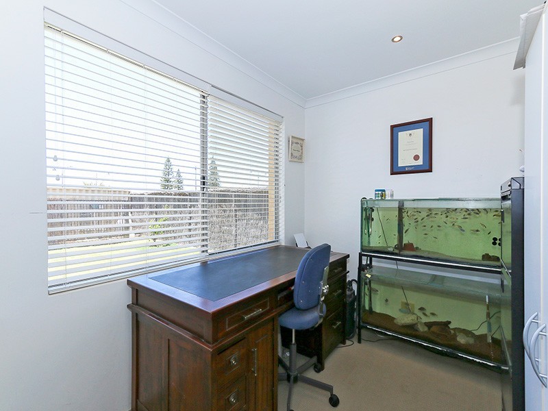 6 Deeside Road, Butler WA 6036