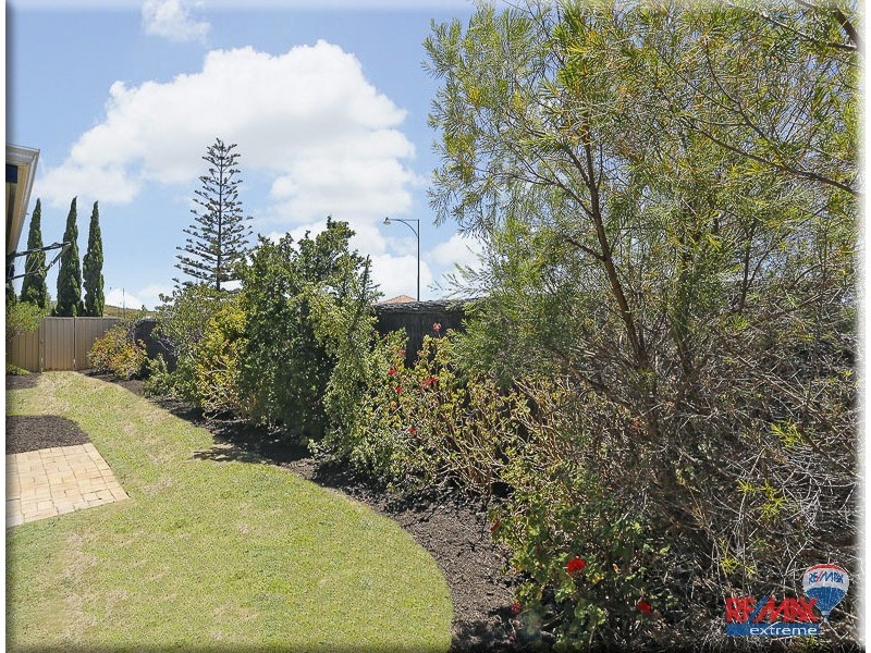 66 Wadhurst Road, Butler WA 6036