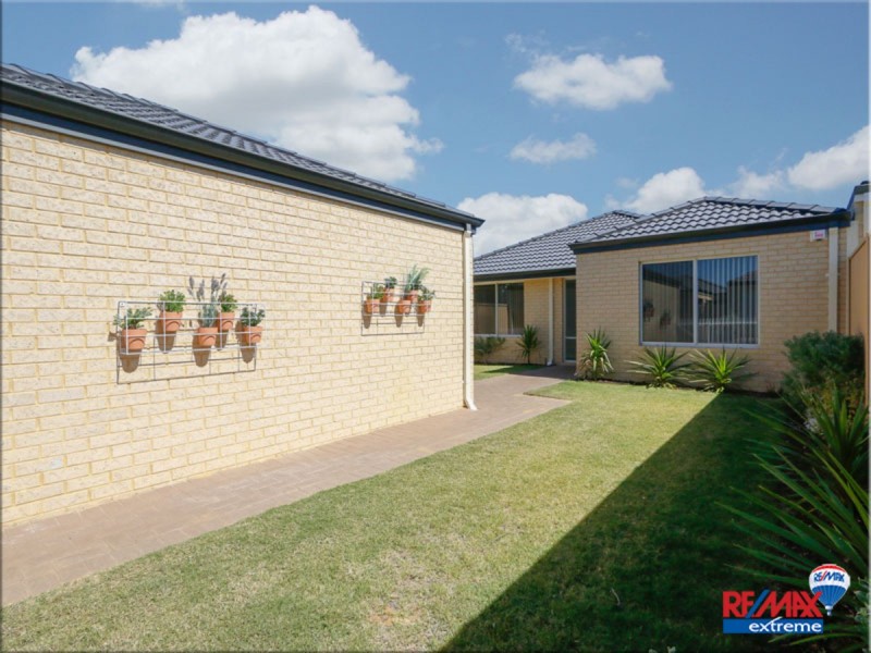 11 Sparkwell Lane, Butler WA 6036