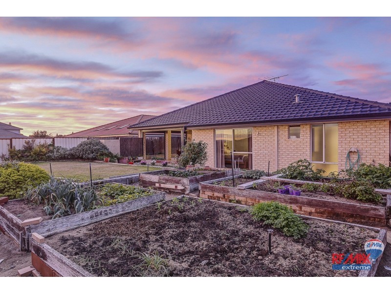 16 Harlequin Way, Yanchep WA 6035