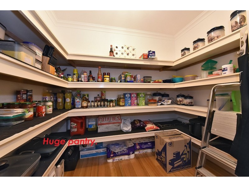 43 Ammanford Crescent, Butler WA 6036