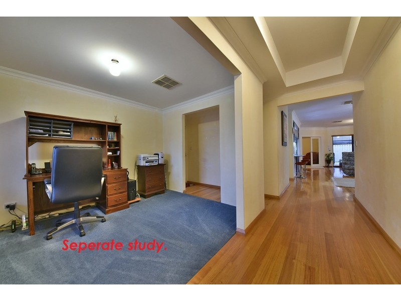 43 Ammanford Crescent, Butler WA 6036