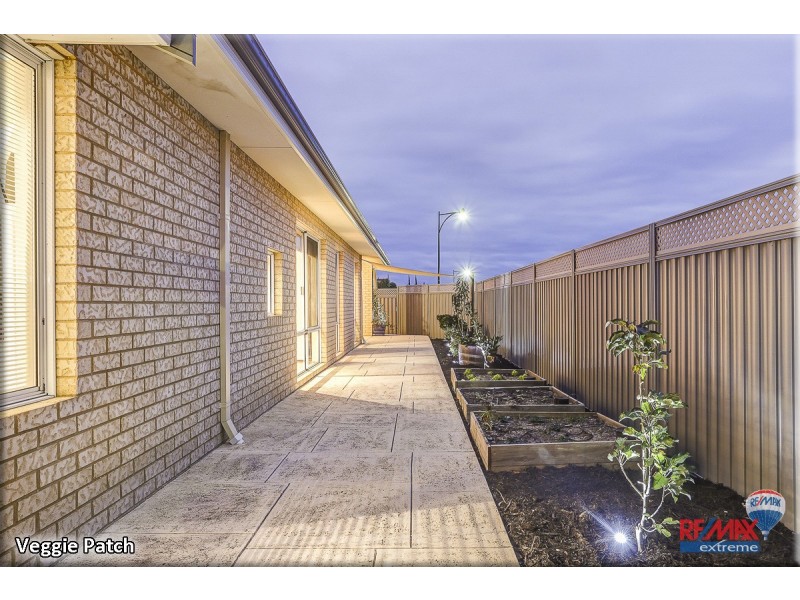 42 Benenden Avenue, Butler WA 6036