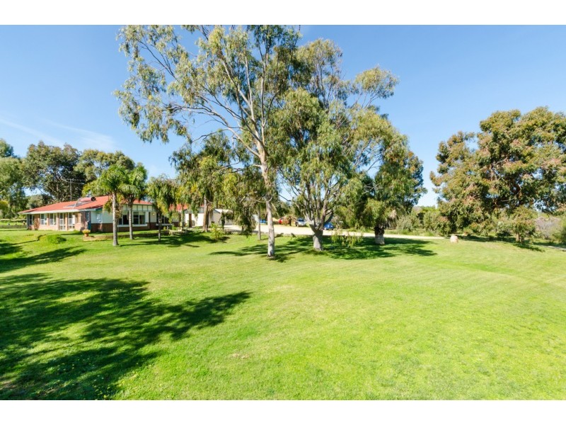 186 Woolly Bush Loop, Woodridge WA 6041