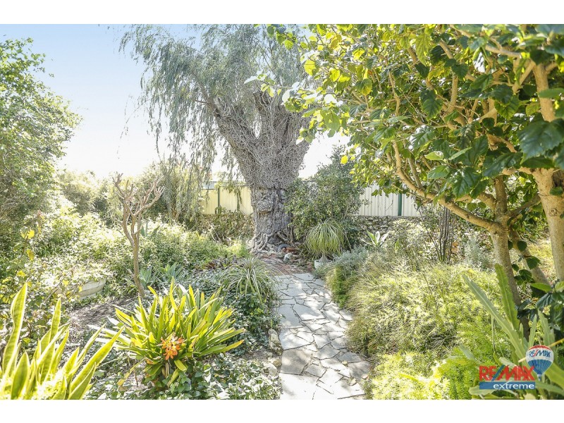 4 Clipper Place, Yanchep WA 6035