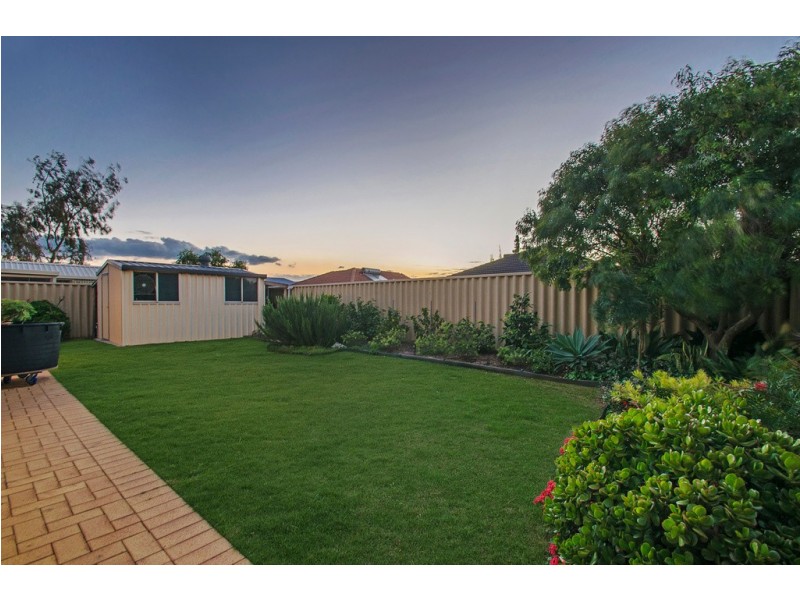 14 Tidworth Elbow, Butler WA 6036