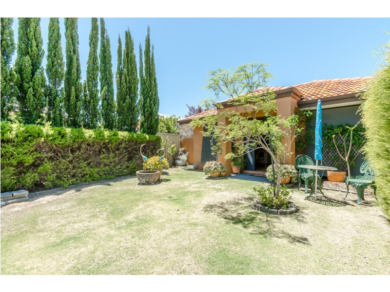 8 Knighton Way, Butler WA 6036