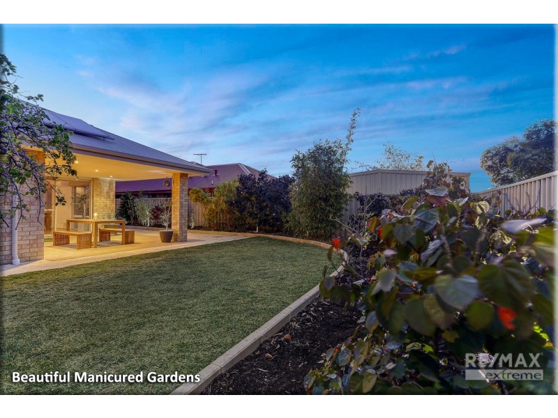 26 Oakbank Crescent, Butler WA 6036