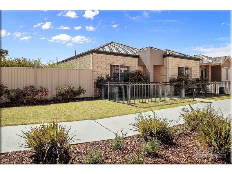 16 Glenkeen Street, Butler WA 6036