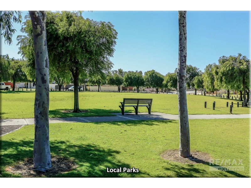 19 Warnford Street, Butler WA 6036