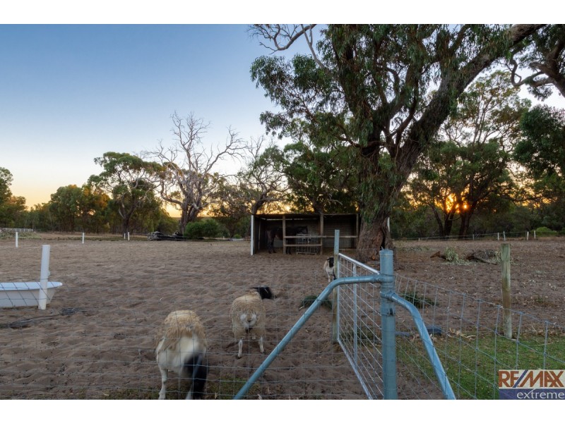 3 Countryside Drive, Two Rocks WA 6037