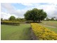 Mareeba QLD 4880