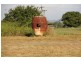 Biboohra QLD 4880