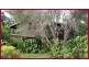 353 Fraser Road, Mount Molloy QLD 4871